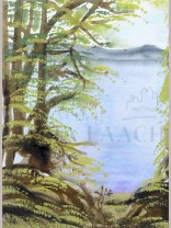 Erinnerungen sind kleine Sterne ...<span class=prodhide>218085</span>