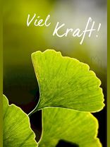 Viel Kraft!<span class=prodhide>310865</span>