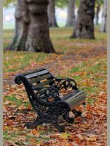 Bank im Hydepark<span class=prodhide>310935</span>