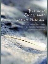 Und meine Seele spannte weit ihre Flügel aus ...<span class=prodhide>350528</span>