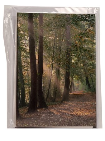 Kartenset Zur Anteilnahme, 6 Motive, 14,8 x 10,5 cm, in Cellopahnhülle<span class=prodhide>172735</span>