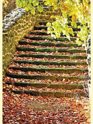 Treppe mit Herbstlaub<span class=prodhide>310936</span>