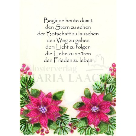 Weihnachtsstern, Beginne heute...<span class=prodhide>413121</span>