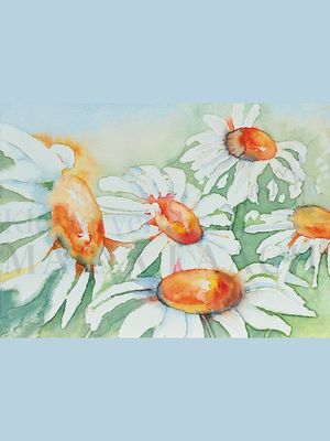 Margeriten - Aquarell<span class=prodhide>413442</span>