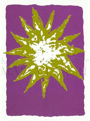 Stern<span class=prodhide>434188</span>