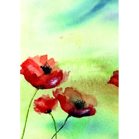 Mohnblumen<span class=prodhide>453091</span>