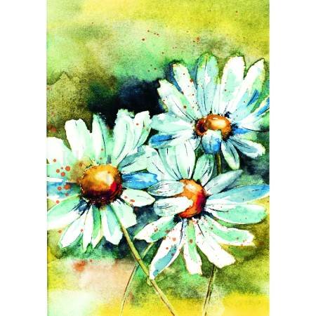 Margeriten<span class=prodhide>453092</span>