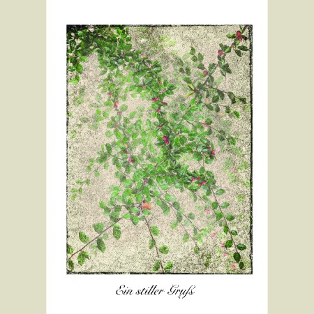 Ein stiller Gruß<span class=prodhide>453102</span>