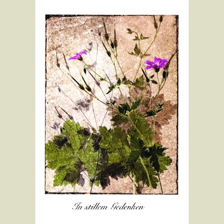 In stillem Gedenken<span class=prodhide>453103</span>