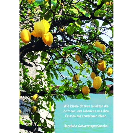 Wie kleine Sonnen leuchten die Zitronen<span class=prodhide>453109</span>