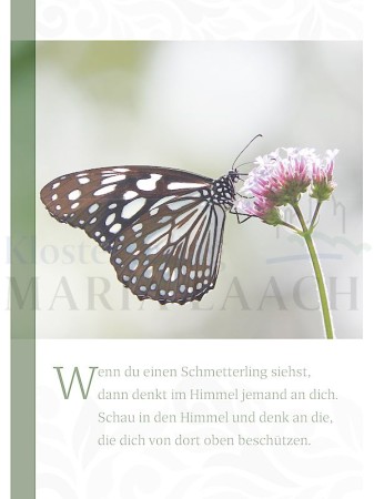 Wenn du einen Schmetterling siehst, ...<span class=prodhide>453262</span>