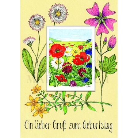 Ein lieber Gruß zum Geburtstag - Wildblumen<span class=prodhide>842018</span>