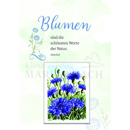 Blumen sind die schönsten Worte - Kornblume<span class=prodhide>842029</span>