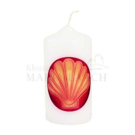 Kerze Muschel 120/60 mm<span class=prodhide>871637</span>